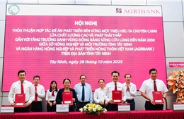 Ký kết chương trình cho vay liên kết sản xuất lúa gạo bền vững