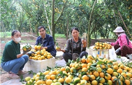 Chung tay Giảm nghèo bền vững ở Kiên Lao