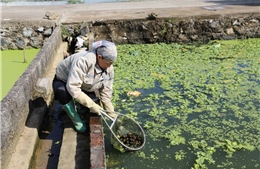 Hướng đi mới cho sinh kế bền vững vùng miền núi An Khánh