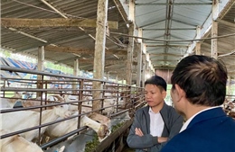 Kiên Lao tổ chức đi học tập, trao đổi kinh nghiệm về công tác giảm nghèo tại Hà Nội