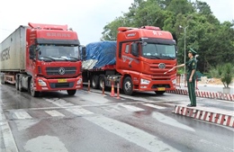 Lạng Sơn: Kim ngạch xuất nhập khẩu hàng hóa đạt trên 74,1 tỷ USD