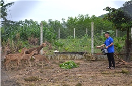 Lan tỏa cơ hội khởi nghiệp cho thanh, thiếu niên