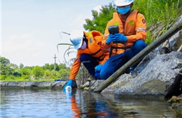 Masan High-Tech Materials được vinh danh Top 100 Doanh nghiệp Bền vững Việt Nam