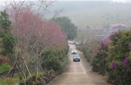 Quảng Ngãi chào năm mới 2026 với khát vọng biển, hơi thở đại ngàn