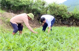 Phát huy vai trò của người uy tín trong xóa đói giảm nghèo ở Lai Châu