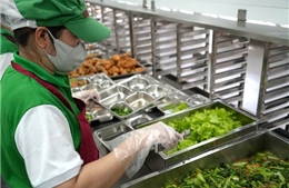 Ajinomoto Việt Nam thúc đẩy bữa ăn học đường giàu rau xanh