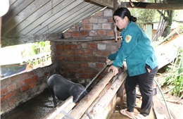 Đưa lao động đi làm việc ở nước ngoài - &#39;Chìa khóa&#39; giúp giảm nghèo bền vững