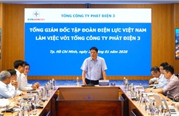 Đoàn công tác EVN làm việc với EVNGENCO3 về công tác bảo vệ môi trường và sản xuất điện