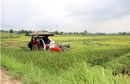 Cơ giới hóa tạo đòn bẩy phát triển kinh tế nông thôn