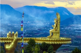 Huyền thoại sức sống Samten Hills Dalat từ núi đá cằn khô