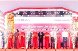 Agribank đẩy mạnh sắp xếp tổ chức mạng lưới theo hướng tăng cường dư địa cho phát triển &#39;tam nông&#39;