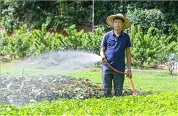 Điện Biên -Thúc đẩy du lịch và phát triển kinh tế từ nông nghiệp sạch  