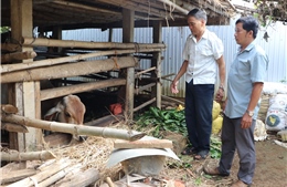 Trao sinh kế, đồng hành cùng hộ nghèo thoát nghèo