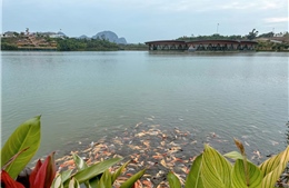 Giải mã “kỳ quan” Suối Cá Thần 