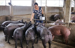 Thanh Nưa – Sức sống vùng biên giới Điện Biên sau chiến tranh
