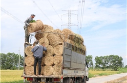 Lợi ích kép từ nông nghiệp tuần hoàn