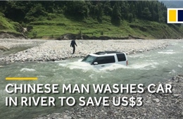 Rửa ô tô giữa sông cạn để tiết kiệm, không ngờ lũ về