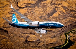 Tìm hiểu về Boeing 737 MAX 8 - &#39;máy bay tin cậy nhất thế giới&#39; sau &#39;cú sốc&#39; đâm xuống biển