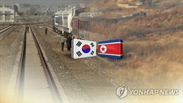 Hàn Quốc – Triều Tiên ấn định ngày động thổ dự án đường sắt, đường bộ liên Triều