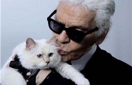 Mèo cưng của Karl Lagerfeld có thể thành ‘mèo giàu nhất hành tinh’