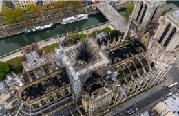 Pháp không đủ cây cao để xây lại mái Nhà thờ Đức Bà Paris