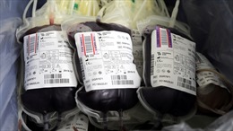 Biến mọi nhóm máu thành O nhờ… vi khuẩn