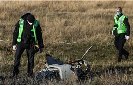 Xuất hiện các nhân chứng mới trong vụ máy bay MH17 bị bắn rơi