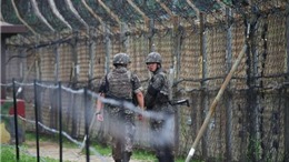 DMZ trên Bán đảo Triều Tiên – Đường biên giới Chiến tranh Lạnh cuối cùng 