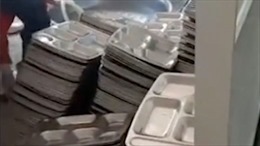 Sa thải hiệu trưởng dùng bột giặt rửa đĩa ăn của học sinh