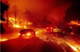 Cháy rừng nhuộm đỏ California