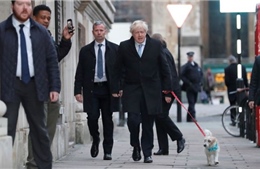 Ngộ nghĩnh hình ảnh Thủ tướng Anh Boris Johnson dắt chó cưng đi bỏ phiếu