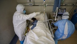 Bệnh nhân tử vong vì COVID-19 bị tổn thương nội tạng giống SARS