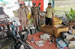 Cảnh sát đột kích cơ sở tái chế, bán lại khẩu trang đã sử dụng