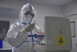 Giới khoa học Trung Quốc xác định virus SARS-CoV-2 có hai loại