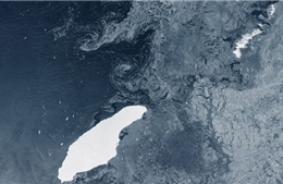 Tảng băng trôi lớn nhất thế giới có thể đâm vào hòn đảo thuộc Anh