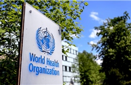 WHO điều tra ổ dịch 65 ca lây nhiễm COVID-19 trong nội bộ