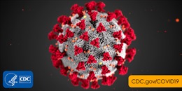Chủng virus Corona biến thể tại Anh xuất hiện ở nhiều quốc gia và vùng lãnh thổ