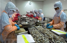 Việt Nam khẳng định cam kết thúc đẩy đàm phán của WTO về trợ cấp thủy sản