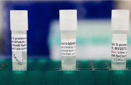 EU thúc đẩy phát triển vaccine ngừa các biến thể của virus SARS-CoV-2