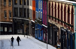 Năm 2020, Trái Đất tĩnh lặng kỷ lục