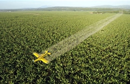 Quan chức Brazil hứng ‘bão’ chỉ trích vì đề xuất điều máy bay phun dung dịch rửa tay 