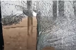 Video hổ vồ ngã dân làng, lao vỡ kính ô tô tại Trung Quốc