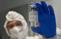 Số ca COVID-19 tăng đột biến, Ấn Độ cấm xuất khẩu thuốc kháng virus Remdesivir