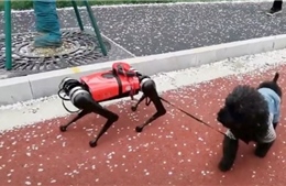 Chó robot biết dẫn đường cho người mù, canh giữ nhà khỏi kẻ đột nhập