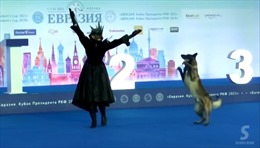 Thú vị cuộc thi khiêu vũ cùng chó cưng tại Nga