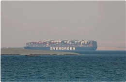 Tòa án Ai Cập bác yêu cầu thả tàu Ever Given