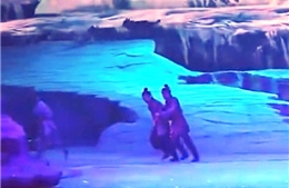 Video chó sói đuổi cắn diễn viên trên sân khấu kịch ở Trung Quốc