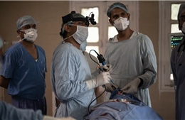 Ấn Độ phát hiện người mắc ‘nấm xanh’ ở bệnh nhân COVID-19