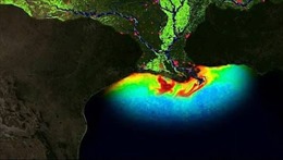 Giới khoa học phát hiện ‘vùng chết’ khổng lồ dưới đáy Vịnh Mexico