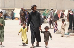 Afghanistan có thể rơi vào cảnh cạn kiệt lương thực từ tháng 9
